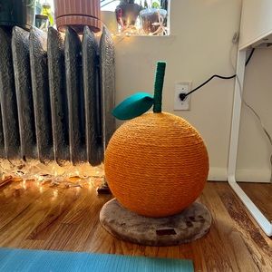 Orange Cat Scratching Post